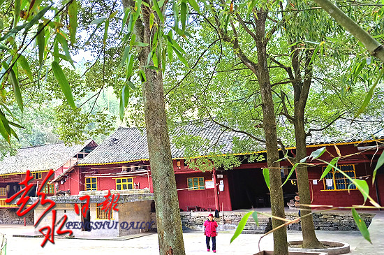 从“办公室”到“农家院”:一场与群众的“双向奔赴”